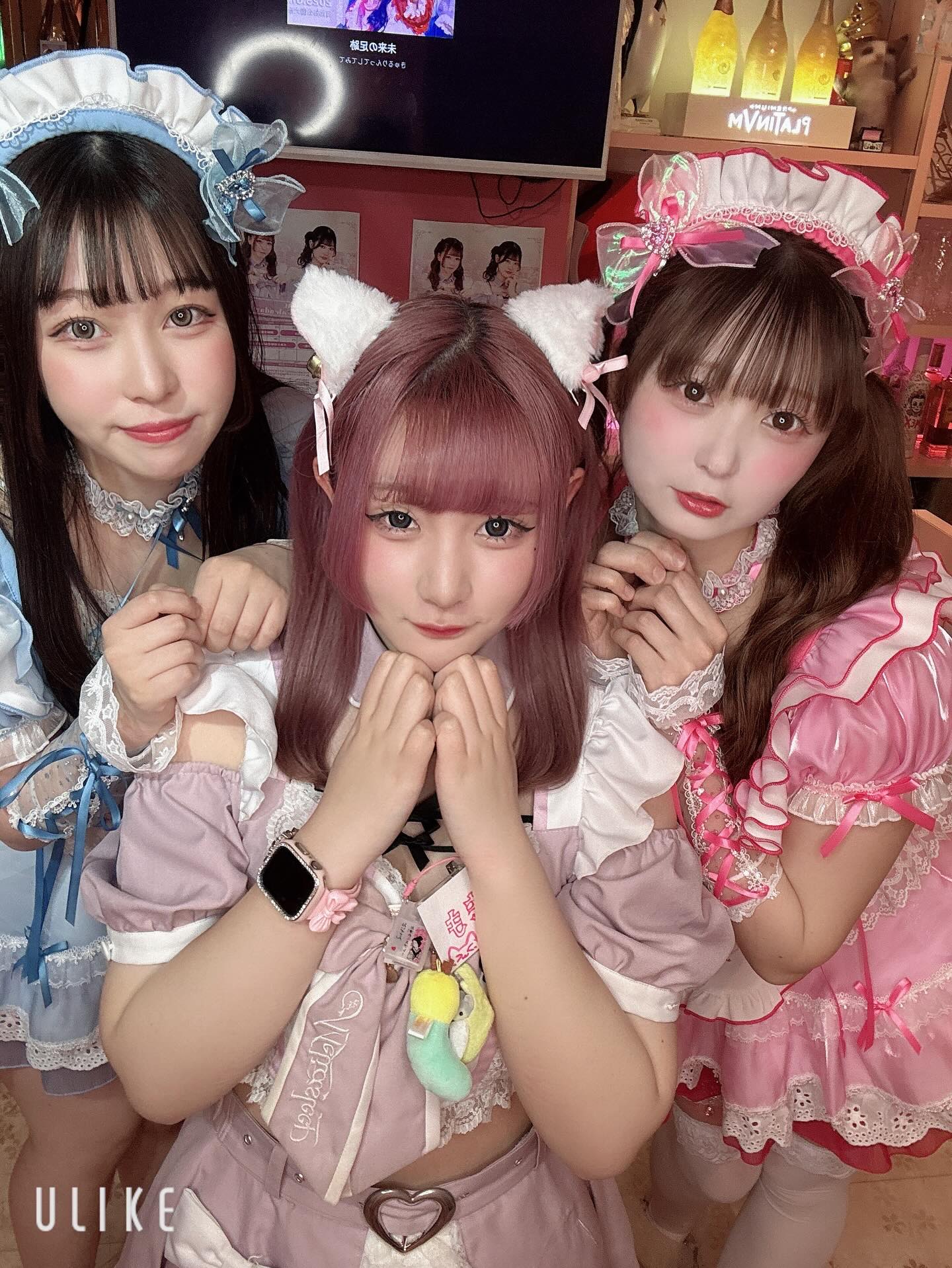 ♡ ♡･･*･･♡･･*･･♡･･*･･♡･･*･･♡･･*･･♡

キラキラアイドルがコンセプト❣️
ようこそメルトアスリープへ♡

当店では、アイドルを目指す女の子がお給仕しています❣️
推しの女の子を見つけ、推して推してアイドルになる夢を叶えてあげましょう♪

アイドルコンセプトカフェ
メルトアスリープ
住所：東京都千代田区外神田4-4-9 松井ビル2F
アクセス：秋葉原駅電気街口から徒歩3分 ドンキホーテ横

【キャスト募集】
アイドルを目指す女の子大歓迎❣️
アイドル事務所が手掛けているので、
夢を叶えるお手伝いができます♪

#秋葉原コンカフェ #アイドル 

♡･･*･･♡･･*･･♡･･*･･♡･･*･･♡･･*････*･･